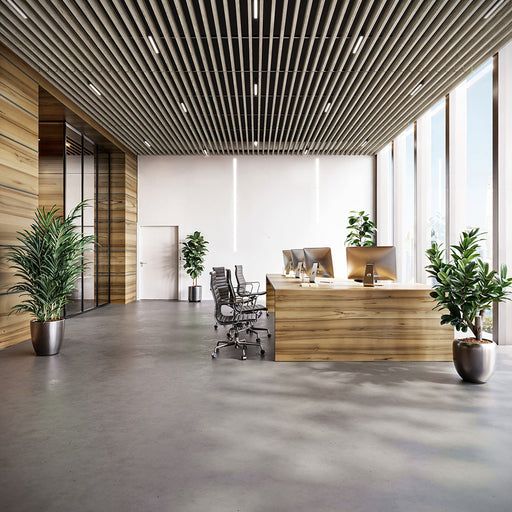 Light Walnut Acoustic Drop Ceiling Baffles, Sound Dampening &amp; Echo Reduction