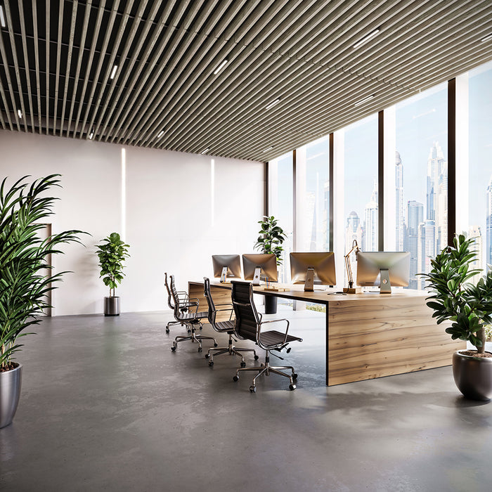 Light Walnut Acoustic Drop Ceiling Baffles, Sound Dampening &amp; Echo Reduction
