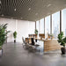 Light Walnut Acoustic Drop Ceiling Baffles, Sound Dampening &amp; Echo Reduction