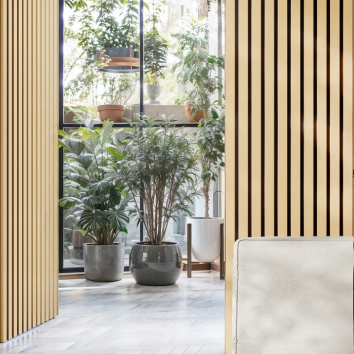 Light Cold Oak Acoustic Wall Panels, Soundproofing for Walls | 94 x 12 - 2 pieces per box