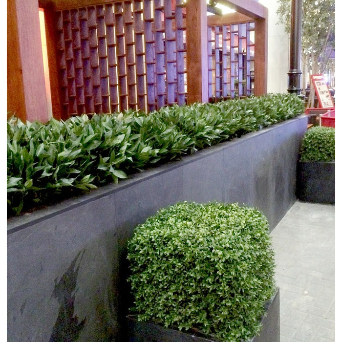 Milan Artificial Boxwood Panels Privacy Fence Screen UV Resistant Topiary Hedge for Outdoor Indoor Use