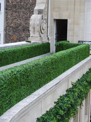 Darkgreen Artificial Boxwood Panels Hedges