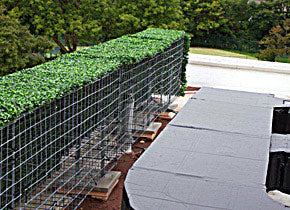 Milan Artificial Boxwood Panels Privacy Fence Screen UV Resistant Topiary Hedge for Outdoor Indoor Use